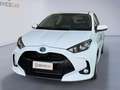 Toyota Yaris Yaris 1.5 Hybrid 5 porte Business Bianco - thumbnail 1