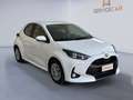 Toyota Yaris Yaris 1.5 Hybrid 5 porte Business Bianco - thumbnail 6
