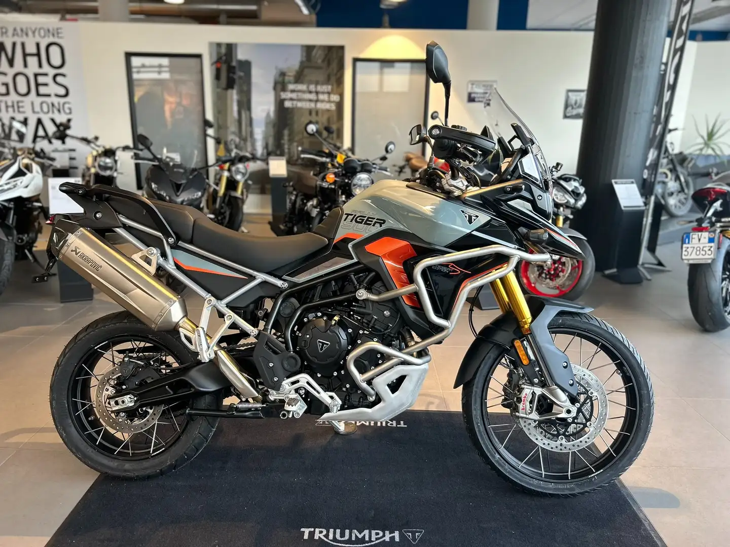 Triumph Tiger 900 DESERT EDITION Gris - 1