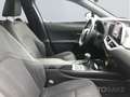 Lexus UX 250h Style Edition *CarPlay*LED*Kamera*SHZ* Grigio - thumbnail 9