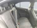 Lexus UX 250h Style Edition *CarPlay*LED*Kamera*SHZ* Grigio - thumbnail 10
