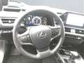 Lexus UX 250h Style Edition *CarPlay*LED*Kamera*SHZ* Grigio - thumbnail 12