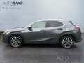 Lexus UX 250h Style Edition *CarPlay*LED*Kamera*SHZ* Grigio - thumbnail 5