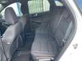 Ford Kuga ST-Line Blanc - thumbnail 11