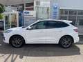 Ford Kuga ST-Line Blanc - thumbnail 4