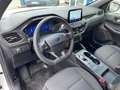 Ford Kuga ST-Line Blanc - thumbnail 9