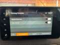Dacia Sandero Stepway  EXTREME KEYLESS  TOTWINKEL KLIMAAUTOM Grau - thumbnail 11