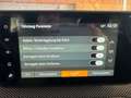 Dacia Sandero Stepway  EXTREME KEYLESS  TOTWINKEL KLIMAAUTOM Grau - thumbnail 9