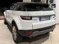 Land Rover Range Rover Evoque 5p 2.0 td4 SE Dynamic 150cv Weiß - thumbnail 6