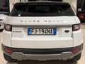 Land Rover Range Rover Evoque 5p 2.0 td4 SE Dynamic 150cv Weiß - thumbnail 4
