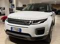 Land Rover Range Rover Evoque 5p 2.0 td4 SE Dynamic 150cv Weiß - thumbnail 2