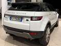Land Rover Range Rover Evoque 5p 2.0 td4 SE Dynamic 150cv Weiß - thumbnail 5
