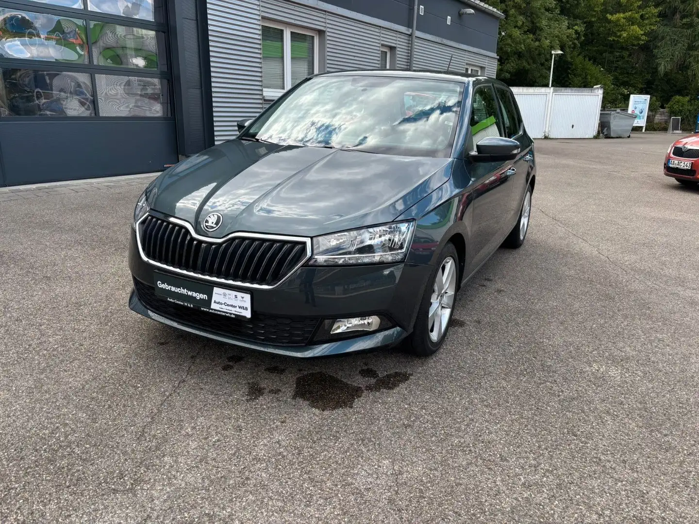 Skoda Fabia Cool Plus 1.0TSI Gris - 1