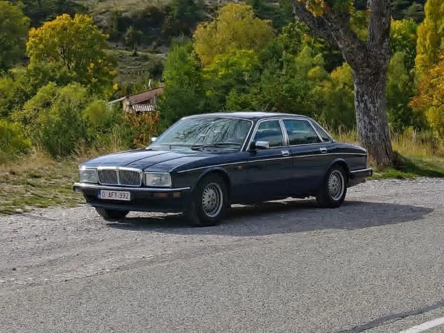 Jaguar XJ40 Sovereign Blauw - 2