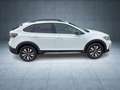 Volkswagen Taigo GOAL 1.0 l TSI OPF  5-Gang ACC FLA LED LM Weiß - thumbnail 7