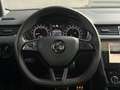Skoda Octavia RS 2,0 TDI 4x4 // PANORAMA // GARANTIE // DSG Grau - thumbnail 25