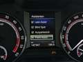 Skoda Octavia RS 2,0 TDI 4x4 // PANORAMA // GARANTIE // DSG Grau - thumbnail 32