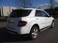 Mercedes-Benz ML 280 M-Klasse Diesel CDI 4Matic 7G-TRONIC DPF+TÜV 26 - thumbnail 8
