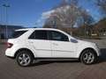 Mercedes-Benz ML 280 M-Klasse Diesel CDI 4Matic 7G-TRONIC DPF+TÜV 26 - thumbnail 6