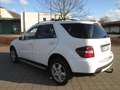 Mercedes-Benz ML 280 M-Klasse Diesel CDI 4Matic 7G-TRONIC DPF+TÜV 26 - thumbnail 7