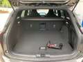 Ford Focus 280Ps ST X Aktion Grau - thumbnail 13