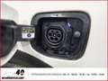 Kia Niro Edition 7 Plug-in Hybrid 1.6+Automatik+Klima+Tempo Weiß - thumbnail 21