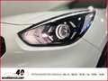 Kia Niro Edition 7 Plug-in Hybrid 1.6+Automatik+Klima+Tempo Weiß - thumbnail 16
