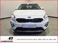 Kia Niro Edition 7 Plug-in Hybrid 1.6+Automatik+Klima+Tempo Weiß - thumbnail 20