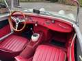 Austin-Healey Sprite MKI Blanc - thumbnail 15