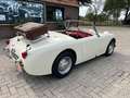 Austin-Healey Sprite MKI Blanc - thumbnail 6