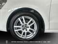 Volkswagen Polo V - Polo 5p 1.4 tdi Comfortline 75cv Bianco - thumbnail 12
