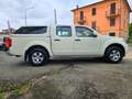 Nissan Navara 2.5 DCI 190CV "LE" CON HARD TOP IN PERFETTO STATO! Alb - thumbnail 6