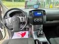 Nissan Navara 2.5 DCI 190CV "LE" CON HARD TOP IN PERFETTO STATO! Alb - thumbnail 13
