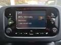 Fiat Panda 1.0 Panda Hybrid KM.ZERO - 4 posti - Pack City Blu/Azzurro - thumbnail 9
