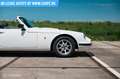 TVR Sonstige S3C 107 kW Weiß - thumbnail 10