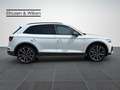 Audi Q5 40+TDI+S-LINE+LUFT+MATRIX+PANO+ Weiß - thumbnail 7