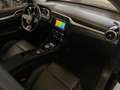 MG ZS EV Luxury 45 kWh Pano, Camera Schwarz - thumbnail 11