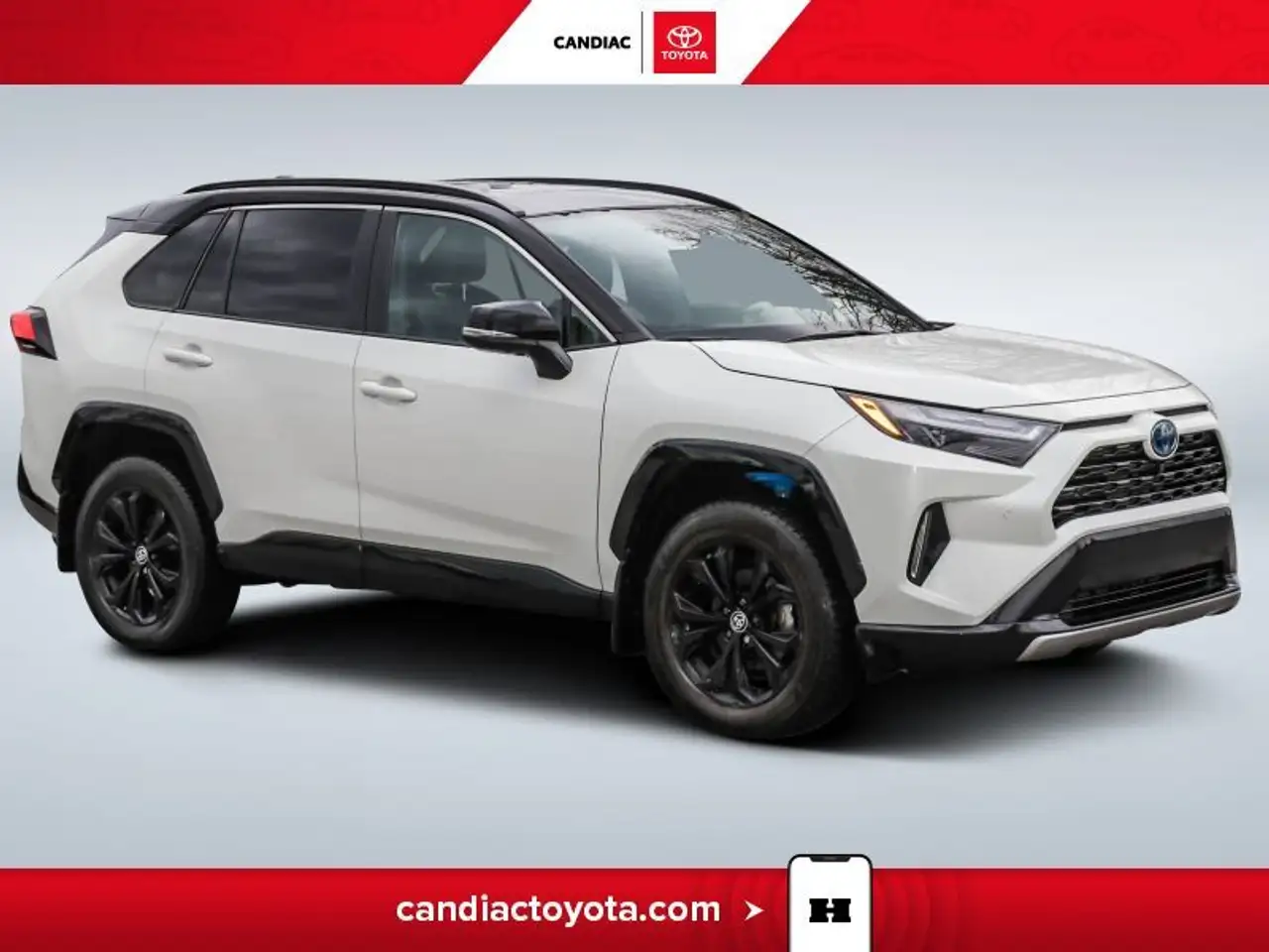 2022 Toyota RAV 4