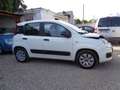 Fiat New Panda Blanc - thumbnail 21
