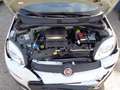 Fiat New Panda Blanc - thumbnail 20
