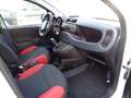 Fiat New Panda Blanc - thumbnail 10