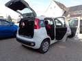 Fiat New Panda Blanc - thumbnail 12