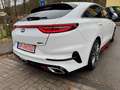 Kia ProCeed / pro_cee'd ProCeed GtAut.Voll!GarantiPanoramLederTop Blanc - thumbnail 9