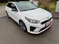 Kia ProCeed / pro_cee'd ProCeed GtAut.Voll!GarantiPanoramLederTop Blanc - thumbnail 2