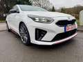 Kia ProCeed / pro_cee'd ProCeed GtAut.Voll!GarantiPanoramLederTop Blanc - thumbnail 1