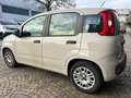 Fiat Panda Panda III 2015 1.2 Pop 69cv E6 Beige - thumbnail 5