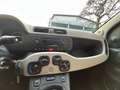 Fiat Panda Panda III 2015 1.2 Pop 69cv E6 Beige - thumbnail 8