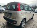 Fiat Panda Panda III 2015 1.2 Pop 69cv E6 Beige - thumbnail 3