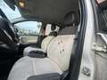 Fiat Panda Panda III 2015 1.2 Pop 69cv E6 Beige - thumbnail 6
