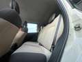 Fiat Panda Panda III 2015 1.2 Pop 69cv E6 Beige - thumbnail 7